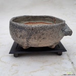 백림제화 | 백림원수제화분(원형) 야생화화분