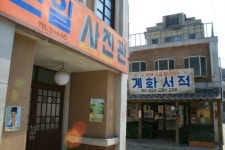 라티노 | YES 블로그