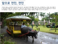 제이앤씨투어타임즈 | 하나투어 :: 1등 여행사 (주)하나투어