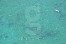빅오션트랜스(주) | Small boat, big ocean 이미지 (139389693) - 게티이미지뱅크 Small boat, big ocean