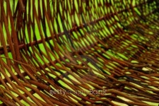 Wood wicker 이미지 (89679122) - 게티이미지뱅크 Wood wicker