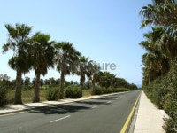 Tropical Route 이미지 (96305572) - 게티이미지뱅크 Tropical Route