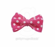 pink little bow 이미지 (92546213) - 게티이미지뱅크 pink little bow