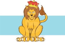 KING LION 이미지 (148346683) - 게티이미지뱅크 KING LION