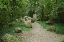 경기도산림환경연구소(금암동 산91) | Forest road 이미지 (91429032) - 게티이미지뱅크 Forest road
