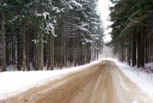 경기도산림환경연구소(금암동 산91) | Forest road 이미지 (91715184) - 게티이미지뱅크 Forest road