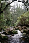 River, Blue Mountains Australia. 이미지 (104885381) - 게티이미지뱅크 River, Blue Mountains Australia.