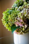 Faded Bouquet 이미지 (112080011) - 게티이미지뱅크 Faded Bouquet