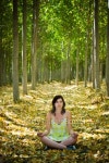 사계절숲놀이터&사계절요가원 | Yoga in forest 이미지 (99656078) - 게티이미지뱅크 Yoga in forest