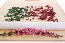 아로마테라피아르카눔 | Aroma therapy leafs and flowers 이미지 (94553562) - 게티이미지뱅크 Aroma therapy leafs and flowers