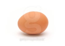 Egg 이미지 (100240230) - 게티이미지뱅크 Egg