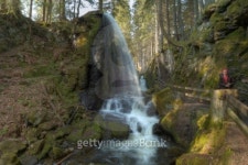 경기도산림환경연구소(금암동 산91) | forest hiker 이미지 (91741984) - 게티이미지뱅크 forest hiker