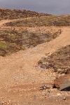 Dirt road in the desert 이미지 (156206478) - 게티이미지뱅크 Dirt road in the desert