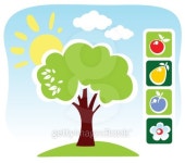 tree and fruits set 이미지 (153233844) - 게티이미지뱅크 tree and fruits set