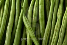 Fresh Green Beans 이미지 (146870553) - 게티이미지뱅크 Fresh Green Beans