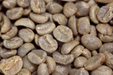 Cofeee Green Bean(커피그린빈) | green coffe beans 이미지 (136239691) - 게티이미지뱅크 green coffe beans