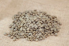 Cofeee Green Bean(커피그린빈) | green coffe beans 이미지 (136239712) - 게티이미지뱅크 green coffe beans