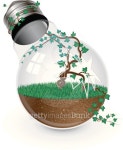 Broken light bulb with grass and ivy inside 이미지 (164438642) - 게티이미지뱅크 Broken light bulb with grass and ivy inside