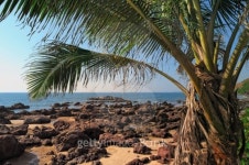 Tropical Countries 이미지 (120086912) - 게티이미지뱅크 Tropical Countries
