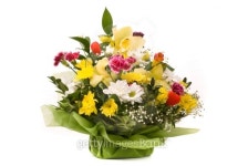 Bouquet on a white 이미지 (115053178) - 게티이미지뱅크 Bouquet on a white