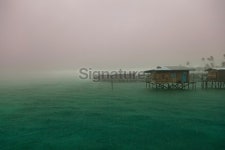 Tropical rain in Southeast Asia 이미지 (175545508) - 게티이미지뱅크 Tropical rain in Southeast Asia