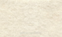 PARK AND PAPER (파크앤드페이퍼) | Paper with parchement texture background 이미지 (185021659) - 게티이미지뱅크 Paper with parchement texture background