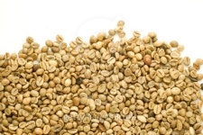 Cofeee Green Bean(커피그린빈) | green coffee beans 이미지 (177695246) - 게티이미지뱅크 green coffee beans