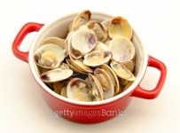 Clam 이미지 (173775414) - 게티이미지뱅크 Clam