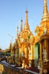 Stupas and statues inside the great Shwedagon pagoda_Yangon 이미지 (168649472) - 게티이미지뱅크 Stupas and statues inside...