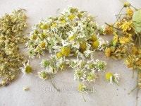 드리밍(허브다이어트) | Dried tea herbs 이미지 (462495063) - 게티이미지뱅크 Dried tea herbs