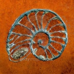 Shell handicraft on ground floor 이미지 (450323645) - 게티이미지뱅크 Shell handicraft on ground floor