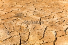 Cracked Desert Ground 이미지 (464389429) - 게티이미지뱅크 Cracked Desert Ground