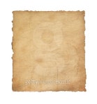 PARK AND PAPER (파크앤드페이퍼) | paper vintage parchment on white 이미지 (476027291) - 게티이미지뱅크 paper vintage parchment on white