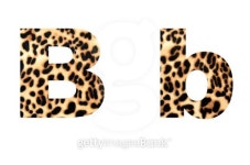 font tiger 이미지 (505394165) - 게티이미지뱅크 font tiger