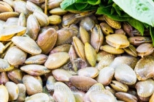 fresh raw Surf clam 이미지 (510265651) - 게티이미지뱅크 fresh raw Surf clam