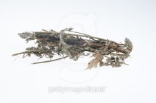 Beifuß getrocknet 이미지 (496607128) - 게티이미지뱅크 Beifuß getrocknet