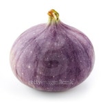 figs 이미지 (483106938) - 게티이미지뱅크 figs