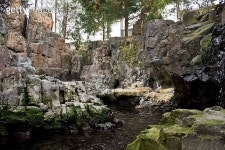 The outdoor habitat of Magellanic penguins 이미지 (498745138) - 게티이미지뱅크 The outdoor habitat of Magellanic penguins