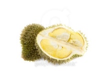Durian, king of fruits in Thailand 이미지 (490283454) - 게티이미지뱅크 Durian, king of fruits in Thailand