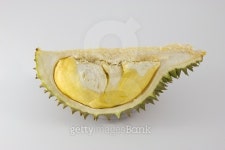 Durian, king of fruits in Thailand 이미지 (490309558) - 게티이미지뱅크 Durian, king of fruits in Thailand