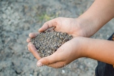 soil on boy hand 이미지 (532590343) - 게티이미지뱅크 soil on boy hand
