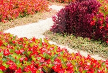 Curved sidewalk through a flower bed 이미지 (486820268) - 게티이미지뱅크 Curved sidewalk through a flower bed