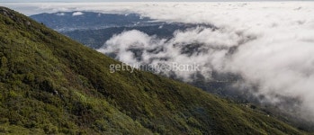 Marin County III 이미지 (477702680) - 게티이미지뱅크 Marin County III