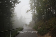 Nebel 이미지 (474523608) - 게티이미지뱅크 Nebel