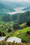 버니스투어(Bunnies Tour) | Lake Bunyonyi Viewed from Up High. 이미지 (475756142) - 게티이미지뱅크 Lake Bunyonyi Viewed from Up High.