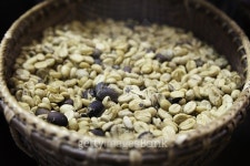 Cofeee Green Bean(커피그린빈) | Vignette Background of Green coffee beans. 이미지 (485347764) - 게티이미지뱅크 Vignette Background of Green coffee beans.