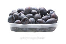 purple plums 이미지 (486692484) - 게티이미지뱅크 purple plums