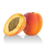 에이피오디자인그룹 | Aprocot for your design 이미지 (511526194) - 게티이미지뱅크 Aprocot for your design