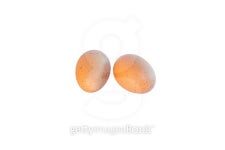 Eggs 이미지 (503980438) - 게티이미지뱅크 Eggs