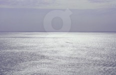 Sunshine on waves 이미지 (503229736) - 게티이미지뱅크 Sunshine on waves